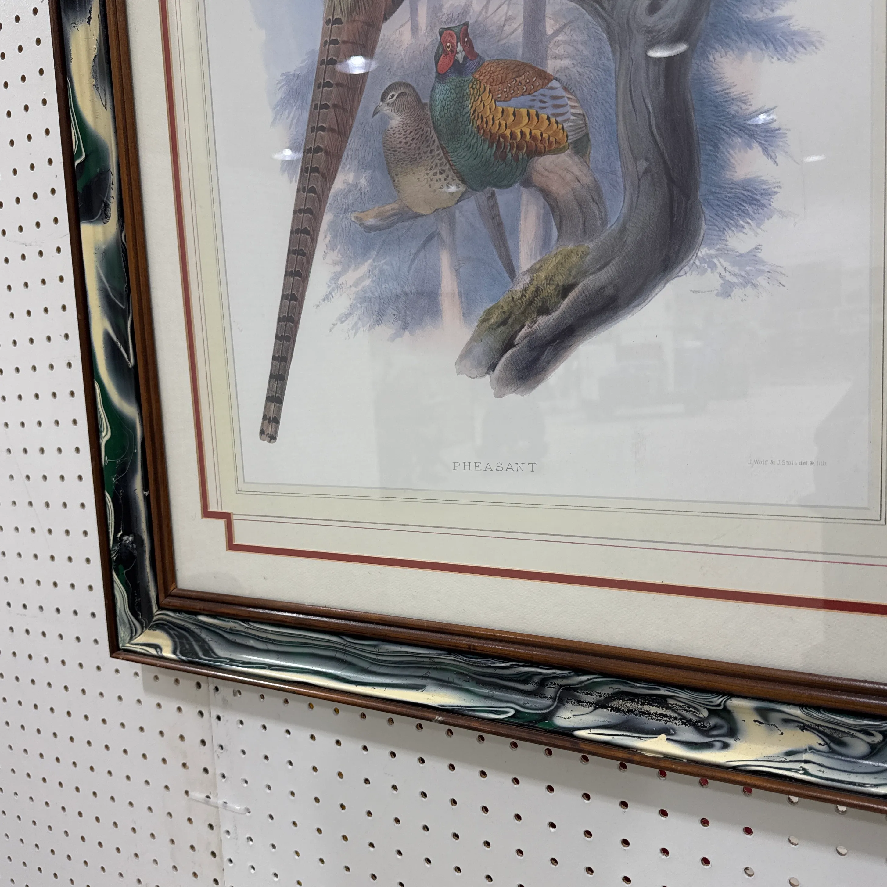 Vintage Pheasant Prints in Custom Lacquered Frames ~ a Pair