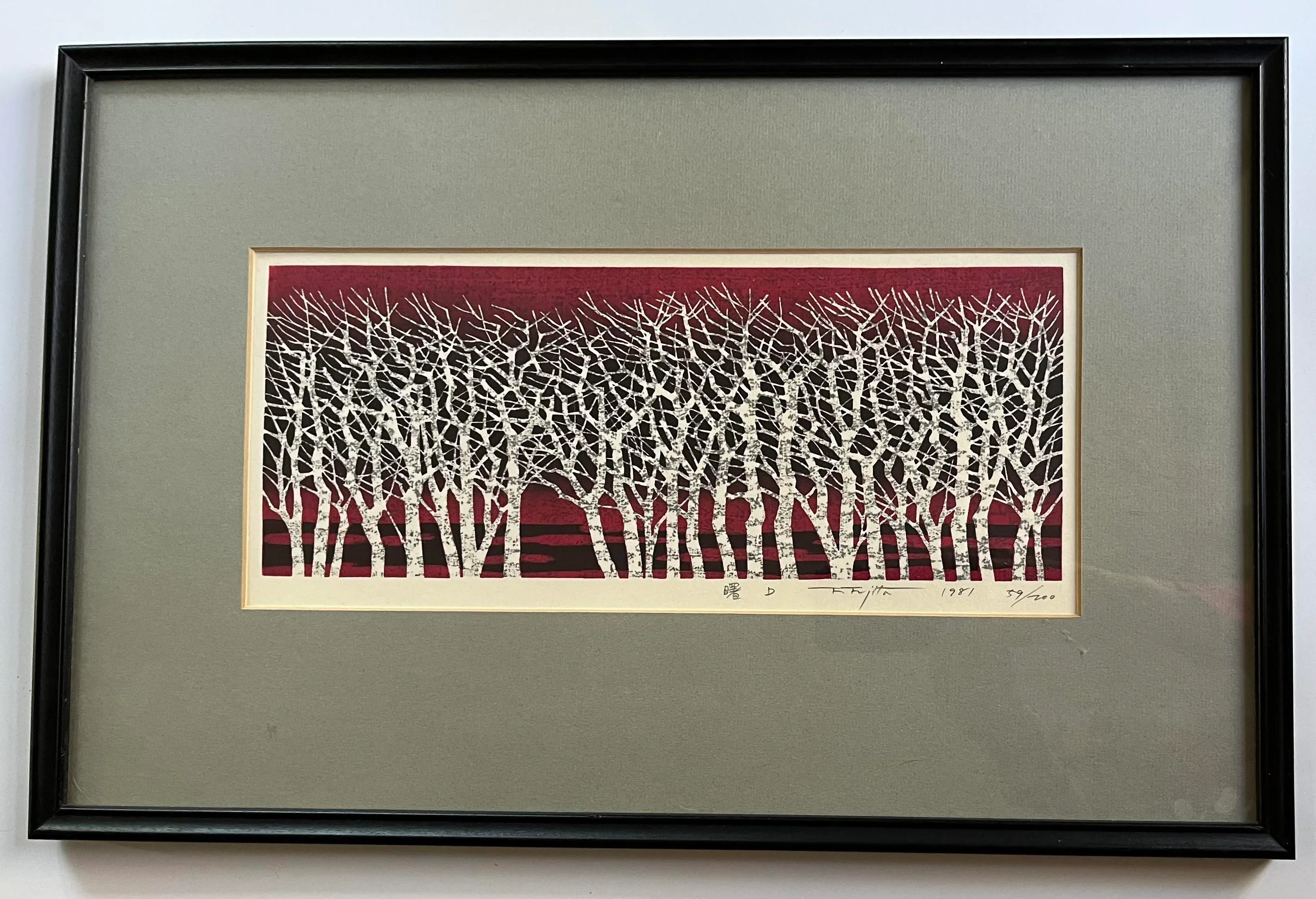 1981 Fumio Fujita Woodblock Print of White Birch Forest | Chairish