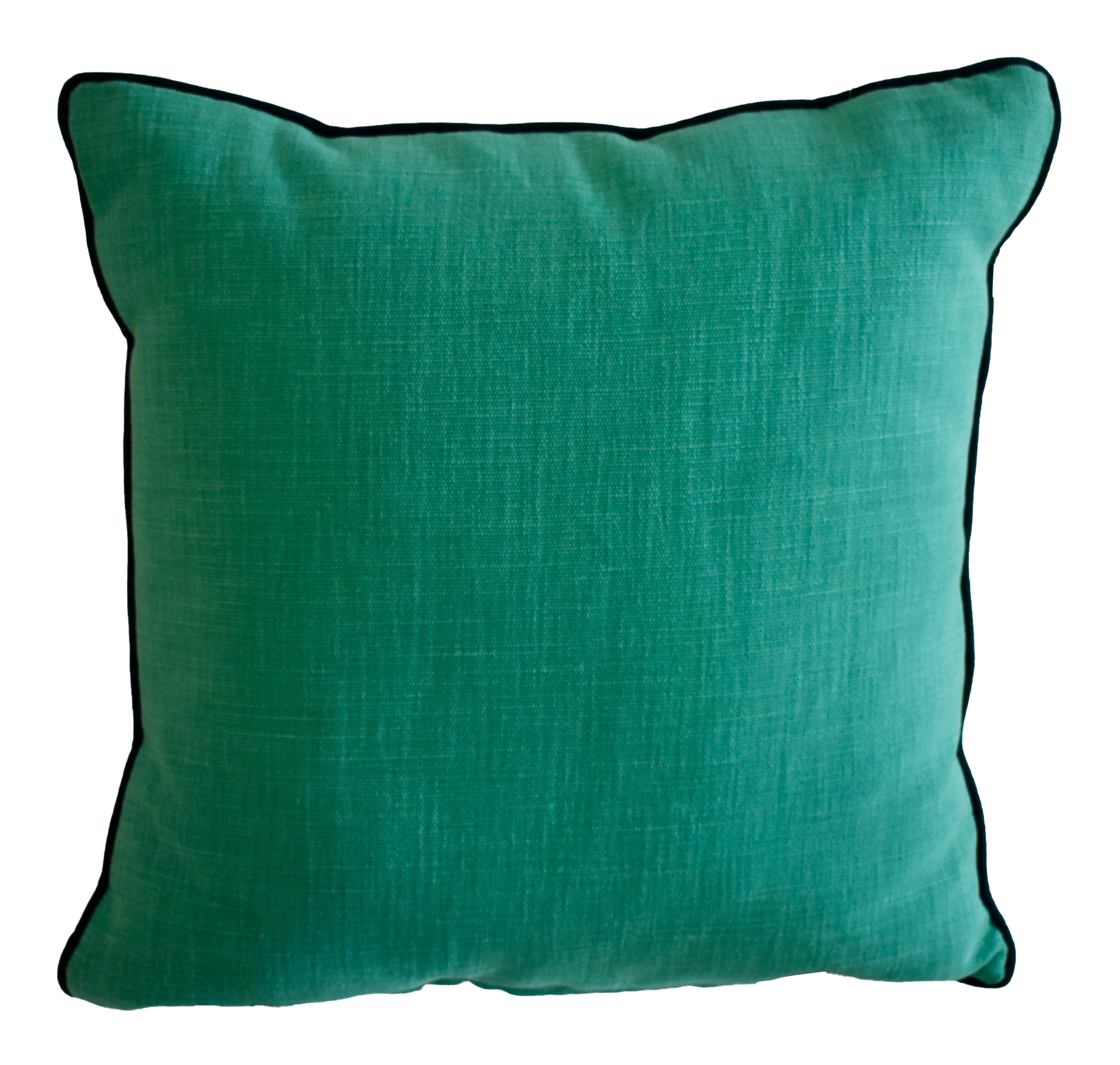 Green Teal Throw Pillow Chairish
