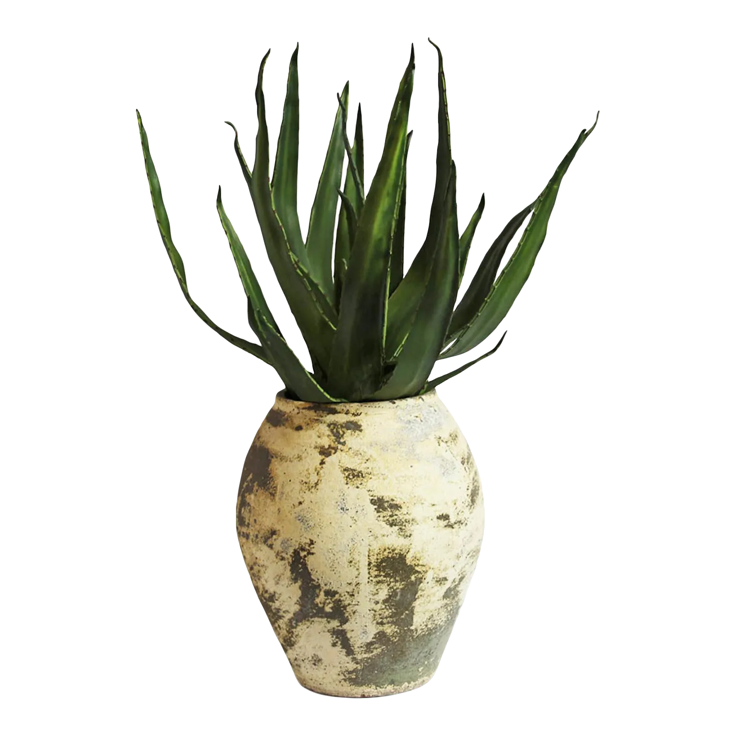 peeling aloe vera Buy Dr Rashel Aloe Vera 2-in-1 Peeling Scrub  100g PK