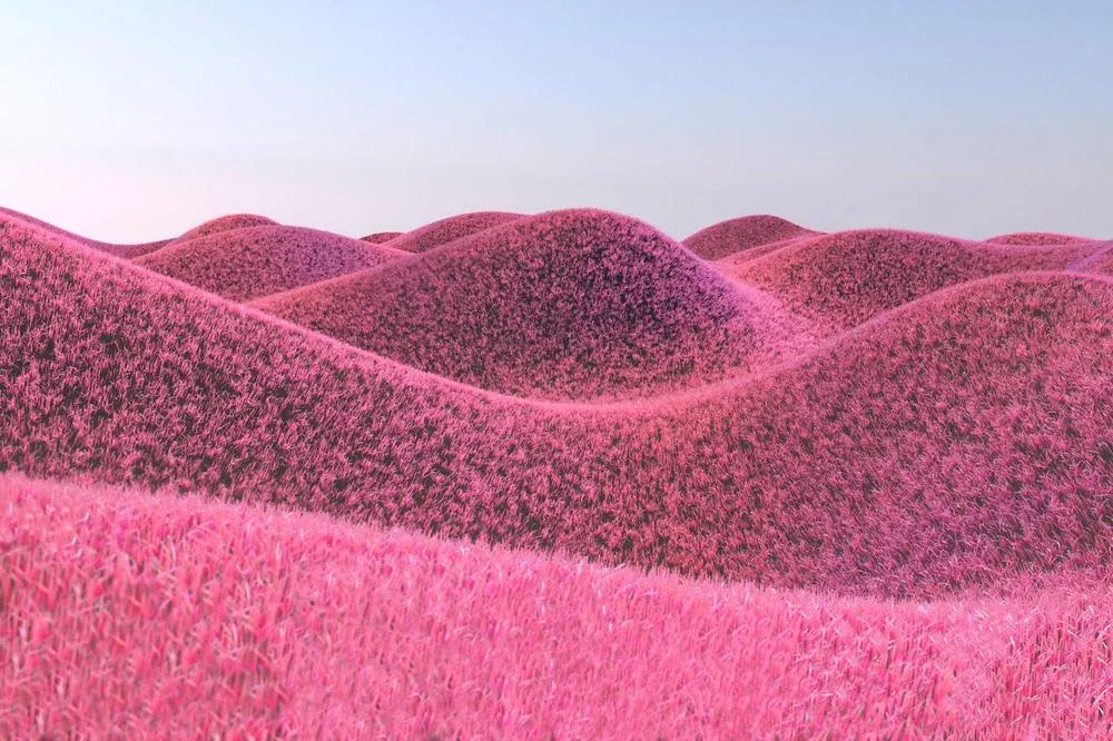 Artur Debat, Surreal Render Landscape with Furry Hills and Pink Colour, Photograph