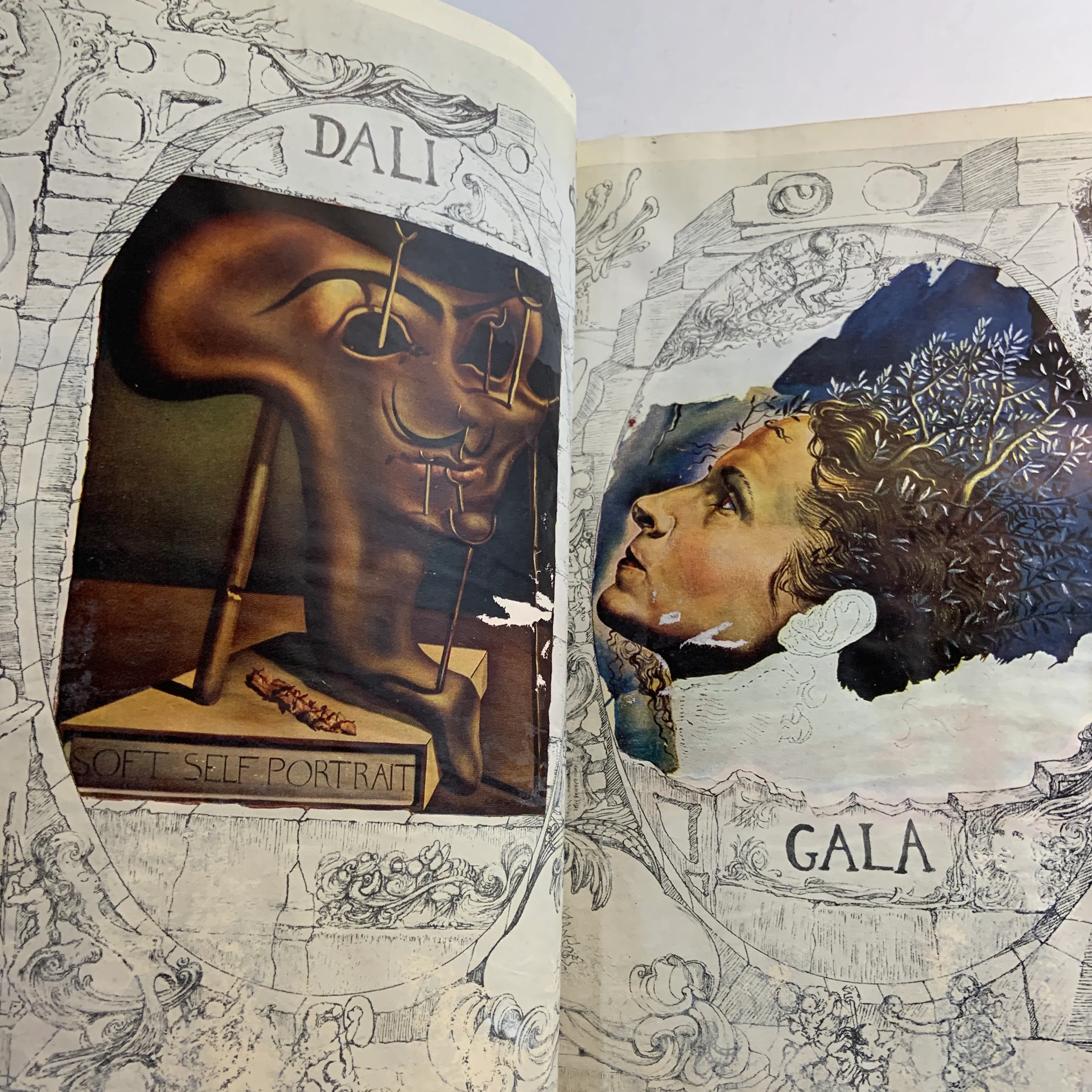 The Secret Life of Salvador Dalí ダリ 画集 The Secret Life of Salvador Dalí by Salvador Dali, Paperback