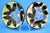 Vintage Ceramic Plates by La Spiga Roma, 1930s, Set of 2 For Sale - Image 3 of 18