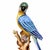 Chinoiserie Pair of Parrot Bird Figurines Table Sculptures - Hand Painting Chinese Porcelain Book Matching Set - Chelsea House Mottahedeh Style For Sale - Image 3 of 8