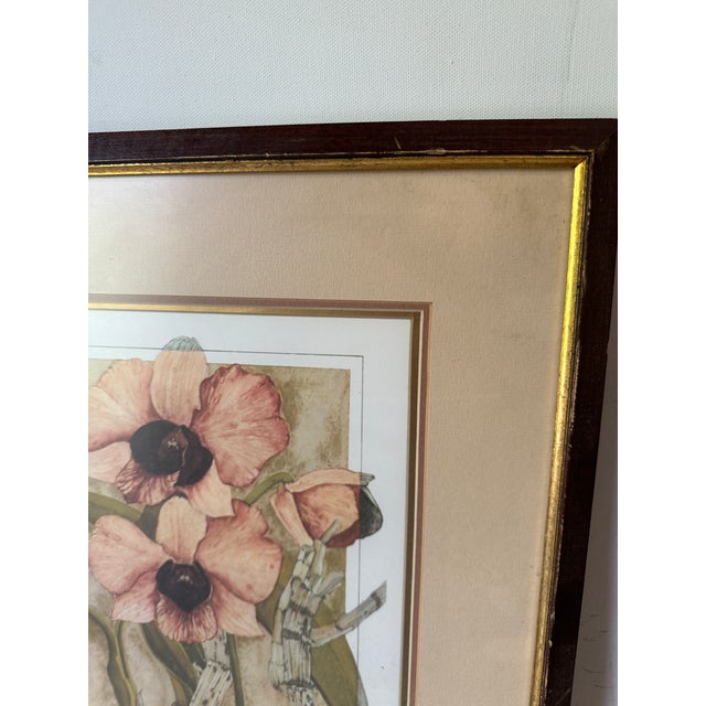 1970s Antique Framed Signed Print of Pink Flower For Sale - Image 10 of 12