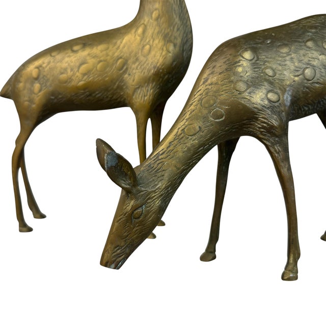 Set of 2 Mid Century Brass Deer Figurines, Buck & Doe For Sale - Image 4 of 15