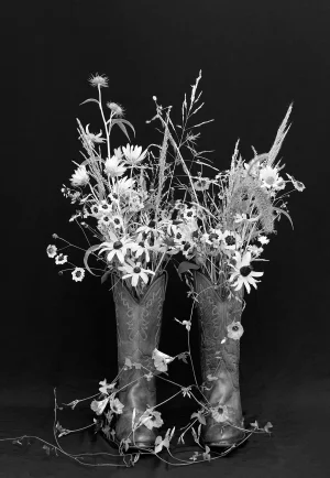 Spirit of Texas, Contemporary Photograph by Ziesook You