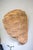 Large 18" Hand Woven Rope Conch Shell Sculpture, Artisanal Natural Fiber Seashell Tabletop Centerpiece Boho Coastal For Sale In Washington DC - Image 6 of 11