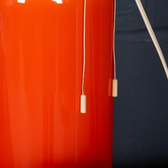 Vintage 20th Century Italian Glass Birillo Floor Lamp, 1970 For Sale - Image 13 of 15