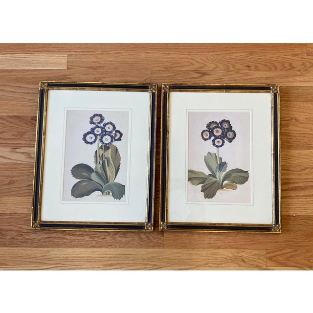 1960s Gilded Black and Gold Gilt Framed Purple Botanical Flower Prints - Set of 2 For Sale In New York - Image 6 of 6