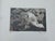 Photorealism Laurie Coppedge Three Artful Nudes Renowned Photographer Signed and Numbered - Set of 3 For Sale - Image 3 of 4