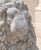 Late 20th Century Pair of Weathered Concrete Garden Lions For Sale - Image 10 of 11