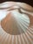Ceramic 1990s Portugal Clam Shell Platter With Attached Dip Bowl For Sale - Image 7 of 10
