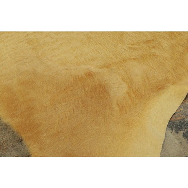 Contemporary Rug & Kilim’s Contemporary Cowhide Solid Rug in Warm Camel Hues For Sale - Image 3 of 9