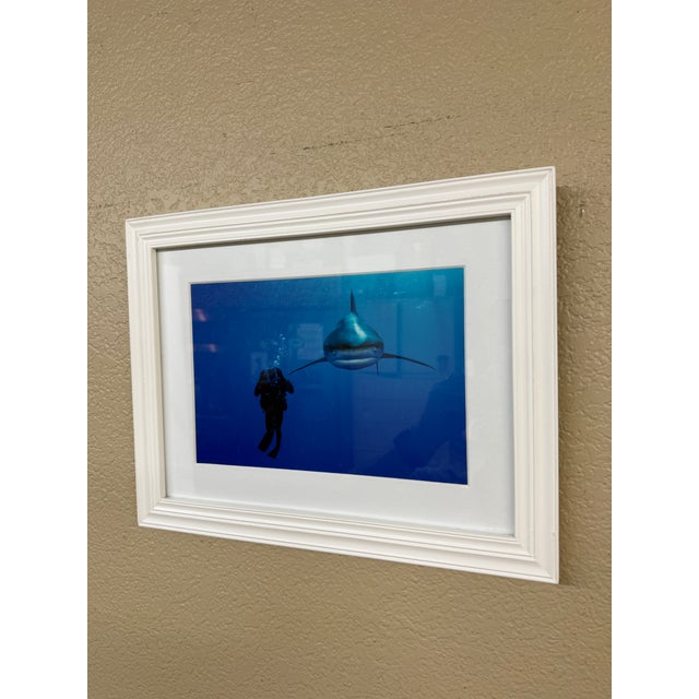 Photorealism Brian Skerry Sharks on Assignment Great White Photograph, Framed For Sale - Image 3 of 12