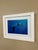 Photorealism Brian Skerry Sharks on Assignment Great White Photograph, Framed For Sale - Image 3 of 12