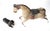 French Artist, Horse Sculpture, 1880, Horsehide For Sale - Image 9 of 16