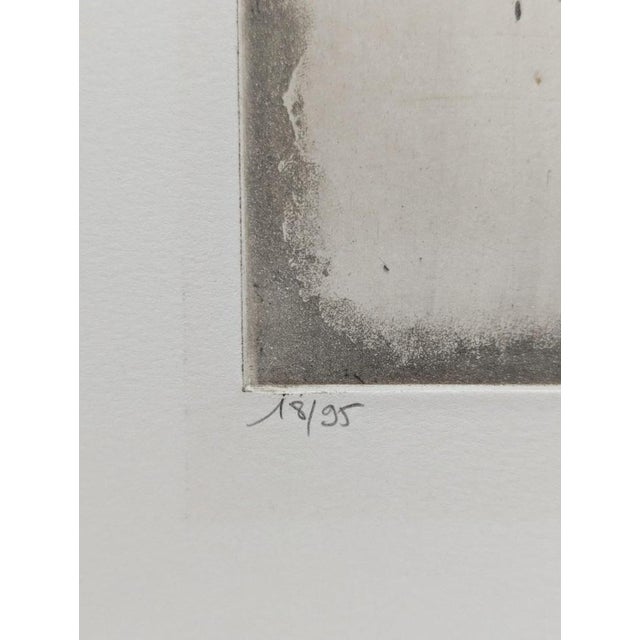 Johnny Friedlaender, Plant Kingdom, 1983, Etching For Sale - Image 4 of 6