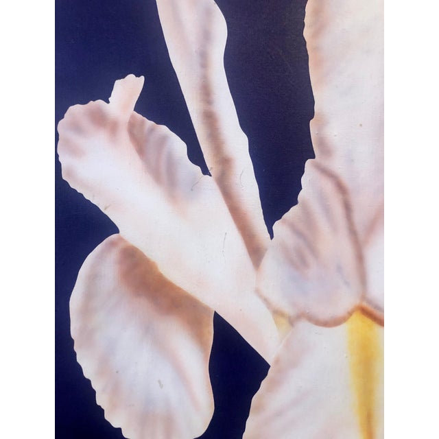 Blue Clarence Measelle, Photorealism Still Life Acrylic Painting Flower Photo Realist Orchid, Vivid Blue For Sale - Image 8 of 11