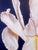 Blue Clarence Measelle, Photorealism Still Life Acrylic Painting Flower Photo Realist Orchid, Vivid Blue For Sale - Image 8 of 11