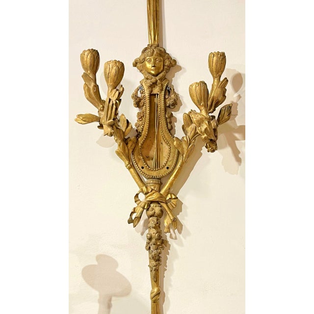 Wood 1920s Large French Louis XVI Style Gilt Bronze Sconces - A Pair For Sale - Image 7 of 7