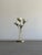 Postmodern 1990s Post Modern Shell & Brass Lamp For Sale - Image 3 of 12