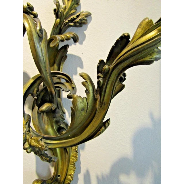 Antique French 19th Century Louis XV Gilt Bronze Two Light Wall Sconces - a Pair For Sale - Image 16 of 18