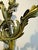 Antique French 19th Century Louis XV Gilt Bronze Two Light Wall Sconces - a Pair For Sale - Image 16 of 18