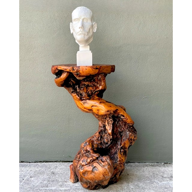 Brown Vintage Japanese Twisted Root Pedestal For Sale - Image 8 of 12