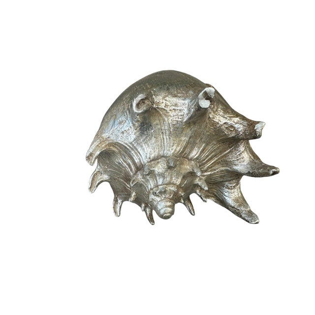 1990s Vintage Silver Seashell Conch Shell Table Decor Beach House Summer Decor For Sale - Image 5 of 8