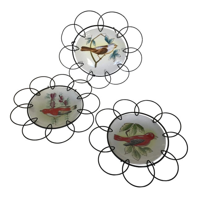 1940s Framed Hand Painted Birds on Porcelain Plates in Floral Pattern Wire Frame - Set of 3 For Sale