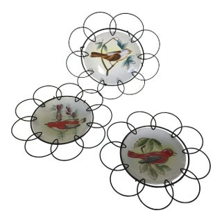 Hand Painted Birds on Porcelain Plates in Floral Pattern Wire Frame - Set of 3 For Sale