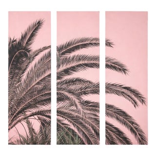 Blush Pink Palm Frond Triptych – Tall Modern Coastal Wall Art For Sale