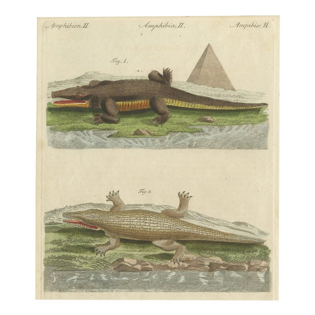 Bertuch, Crocodiles with an Egyptian Pyramid, 1805, Print For Sale