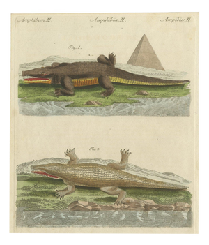 Bertuch, Crocodiles with an Egyptian Pyramid, 1805, Print