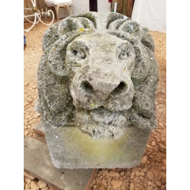 Traditional Pair of Antique Carved Granite Lion Heads For Sale - Image 3 of 12