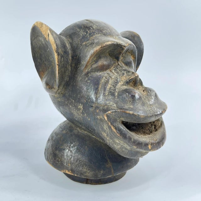 Early 20th Century Baule Monkey Vessel with Lid Côte d'Ivoire For Sale - Image 9 of 14