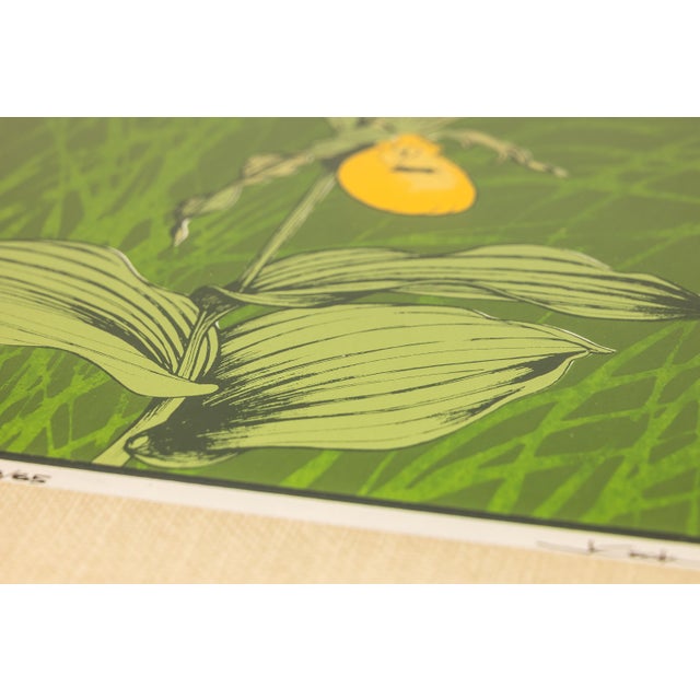 Wood Mid-Century Modern Boho Chic 18/65 Framed & Signed Lithograph Print of a Lady's Slipper Orchid by John Cook, Usa, C. 1960s For Sale - Image 7 of 16