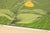 Wood Mid-Century Modern Boho Chic 18/65 Framed & Signed Lithograph Print of a Lady's Slipper Orchid by John Cook, Usa, C. 1960s For Sale - Image 7 of 16