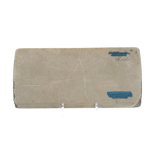 Coyote in Trap - 1900s Keystone Stereo Photograph For Sale - Image 4 of 4