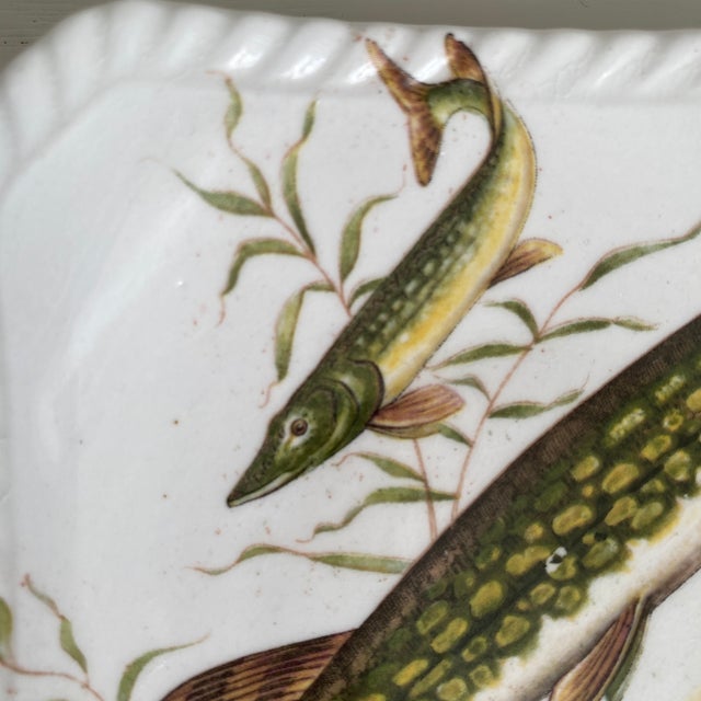 Ridgway Porcelain Vintage Petite Royal Adderly Fine Bone China Fish Service Plate or Trinket Dish For Sale - Image 4 of 9
