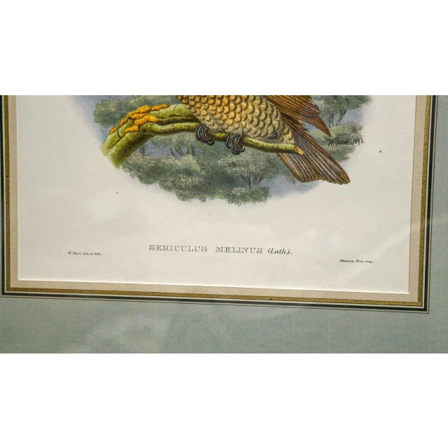 Printmaking Materials 1920s Fine ly Framed Lithographs - a Pair For Sale - Image 7 of 9