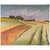 Landscape of Fields in the Countryside, 20th-Century For Sale - Image 6 of 6