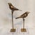 Contemporary Birdies on Glass Stand - a Pair For Sale - Image 3 of 7
