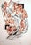 Lithograph on paper. Hand Signed and numbered. Edition of 65 pieces. This piece is attributed to the mentioned...