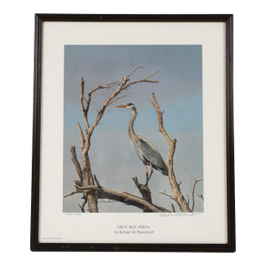 Framed Print of Richard W Plasschaert's "Great Blue Heron" Numbered 158/750