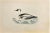 Smew is a modern artwork realized in 1870 by the British artist Alexander Francis Lydon (1836-1917) . Woodcut print, hand...