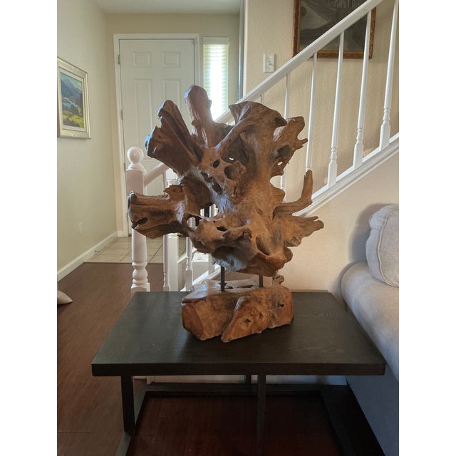 Bring natural artistry into your space with this striking hand-crafted cyprus root driftwood sculpture. Formed from a...
