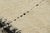 Rug & Kilim’s Moroccan Style Rug in White and Black Tones For Sale In New York - Image 6 of 8