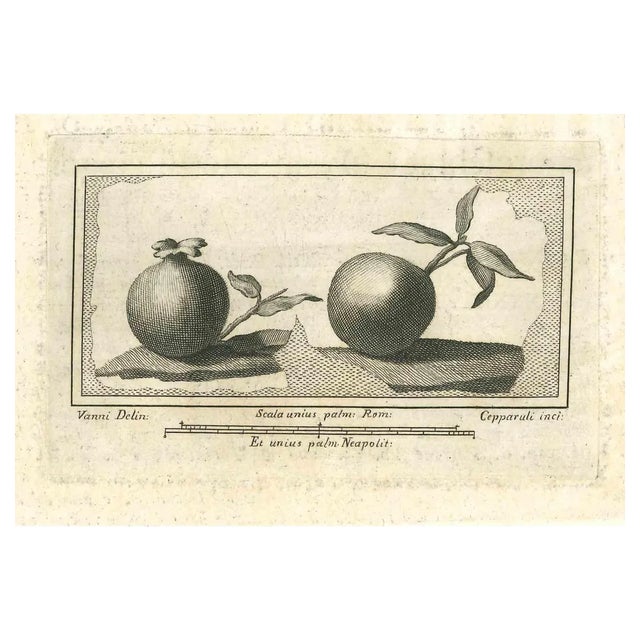 Francesco Cepparoli, Ancient Roman Fresco, Original Etching, 18th Century For Sale